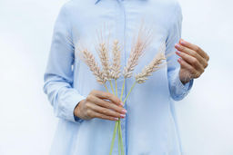 Пучок колосьев пшеницы из 5 штук - Светло-персиковый