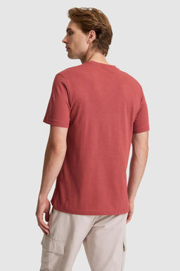 Erkek Vi_ne Regular Fit Bisiklet Yaka Ti__rt