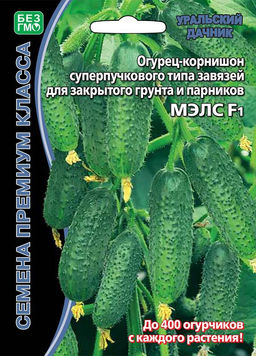 Огурец МЭЛС F1  Суперпучковый, ультраранний!