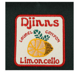 Бейсболка DJINNS арт. HFT Food Limoncello (оливковый / темно-зеленый)