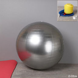 Мяч гимнастический 55см / FB55-GR / насос + игла / Серый / уп 40 шт