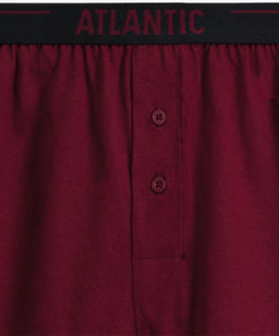 ATLANTIC 2MBX-025 Трусы боксеры Solid - набор (2 шт.) графитовый + каберне фото 4