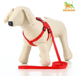 Комплект Базис, поводок 120 х 1,5 см, ОГ 32-46 см, красный