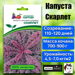 3045P Капуста листовая кудрявая СКАРЛЕТ 0,3гр