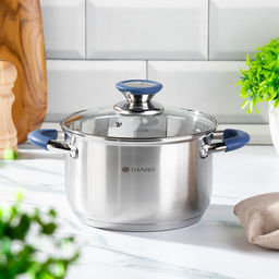 Кастрюля нерж СИЕНА 2,9л со стекл крышкой силикон/ручки SD-A93-18 (352051) /DANIKS/