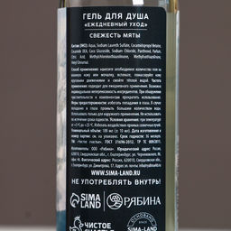 Новогодний подарочный набор косметики «Настоящему мужчине»: гель для душа 100 мл и мочалка для тела, Чистое счастье