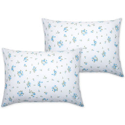 Набор наволочек 50х70 Традиция, поплин, 100% хлопок, пл. 118 гр./кв. м., Клетка Виши ВБ