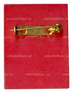 Значок рекламный BESIP (Безопасность дорожного движения)