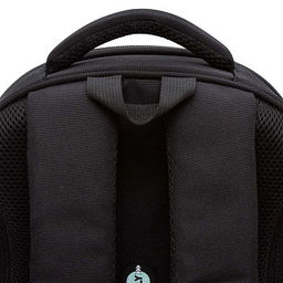 RAz-486-5 Рюкзак школьный - Grizzly фото 8