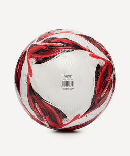 Мяч футбольный JOGEL Triumph Pro №5  фото 3