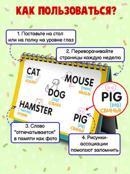 Визуальный словарь для детей. Серия Настольные запоминалки арт. 57906/ 5 АНГЛИЙСКИЙ ЯЗЫК - Феникс+ фото 3