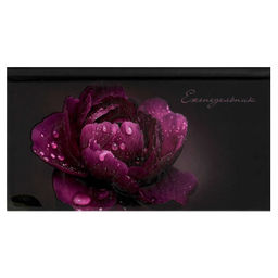 Еженедельник недатированный арт. 71560 ПИОН / 171х93 мм, 64 л., твёрдый переплёт 7БЦ, полноцветная п