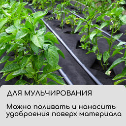 Материал для ландшафтных работ, 20×1.6 м, плотность 120 г/м², спанбонд с УФ-стабилизатором, чёрный, Greengo, Эконом 30%