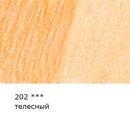 VISTA-ARTISTA Gallery VGWP Карандаш акварельный художественный заточенный 6 шт. 202 Телесный (Flesh)