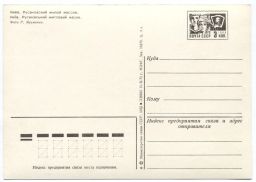 Открытка Киев  Русановский жилой массив