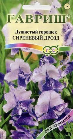 Сиреневый Дрозд душистый горошек 0,5г (г)