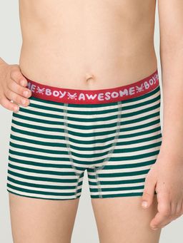 BUHB3307(2шт. в упаковке) трусы для мальчиков - Pelican фото 2