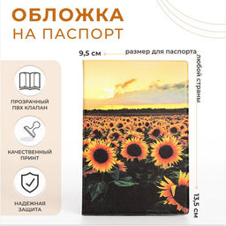 Цена за 2 шт. Обложка для паспорта, цвет разноцветный