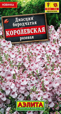 1430A Диасция Королевская розовая 20шт