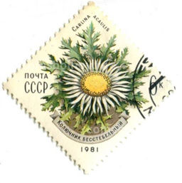 Марка Колючник бесстебельный 1981 год