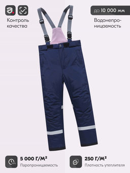 Горнолыжный костюм зимний для девочки серого цвета 9518Sr