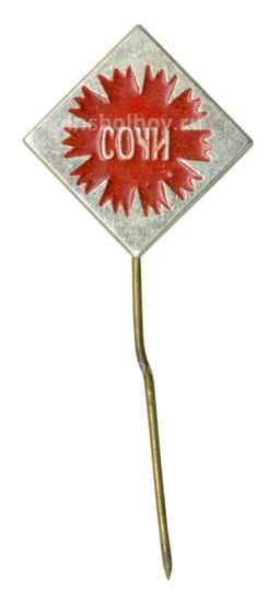 Значок Сочи