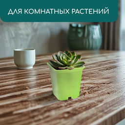 Цена за 36 шт. Горшок для рассады, 250 мл, 7×7×8 см, пластик, МИКС