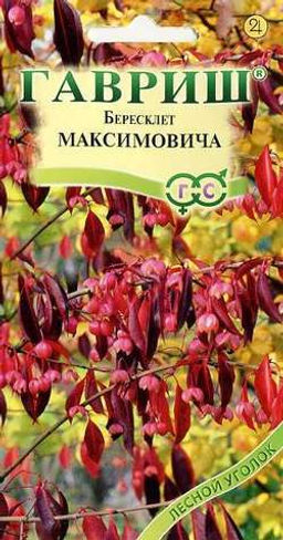 Бересклет Максимовича 0,2г (г)