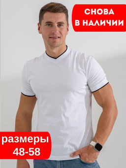 Футболка мужская 14490