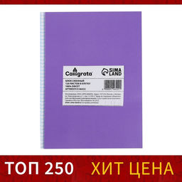 Сменный блок д/тетр на кольцах А5 80л кл Calligrata офсет №1 60 гр/м2 бел 100%