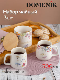 Набор BLOSSOMBOX 3пр (банка для хранения 600мл, кружка 2шт 340мл)