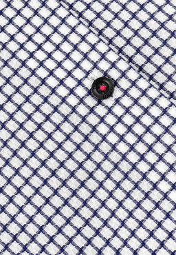 Сорочка мужская короткий рукав GREG 125/201/3723/ZS/C/1p  фото 3