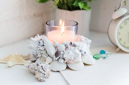 Blumentag / Zlatka DRF-014 М Ракушки морские 1 шт. 5.7 см Pink Murex Asstd  фото 4