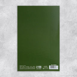 Цена за 10 шт. Открытка 23 Февраля, 12?18 см