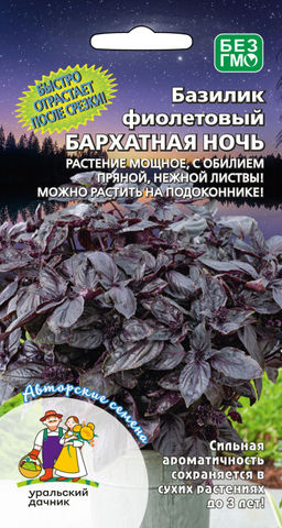 Базилик БАРХАТНАЯ НОЧЬ