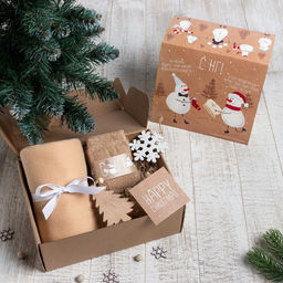 Новогодний подарочный набор «Снеговики» (плед, носки, 2 игрушки, открытка)