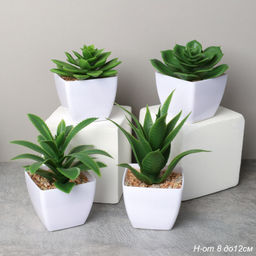 Цветочная композиция Кактус 8-12 см / KL-06 /уп 12/288/