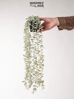 БЕЛЫЙ ЭВКАЛИПТ - Фабрика снов фото 3