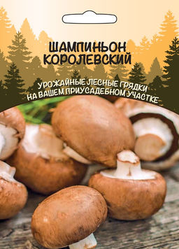 Грибы ШАМПИНЬОН КОРОЛЕВСКИЙ