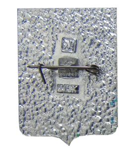 Значок Камышин