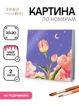Картина по номерам на подрамнике Draw Me! Flower in the night, (20*20 см)