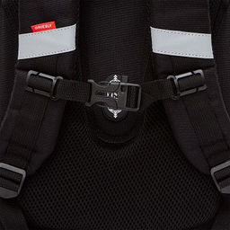 RAz-587-16 Рюкзак школьный - Grizzly фото 10