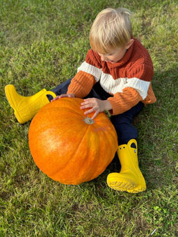 Тыква ГРОМИЛА  Крупноплодная - Уральский дачник фото 3