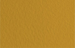 Fabriano Бумага для пастели Tiziano 160 г/м2 A1+ 70 х 100 см лист 10 л. Mandorla/Песочный 52811006