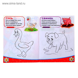 Цена за 3 шт. Раскраска детская «Домашние животные», 12 стр.