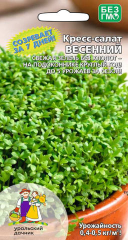Салат кресс-салат ВЕСЕННИЙ