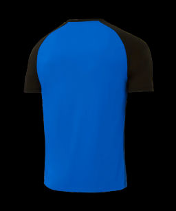 Футболка игровая JOGEL CAMP Striped Jersey, синий/черный