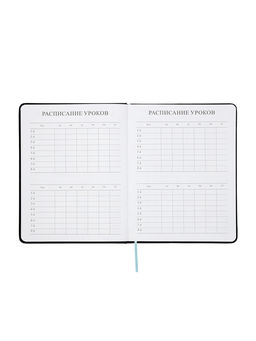 Дневник школьный 1-11 класс, ляссе, обложка искусственная кожа, с хлястиком, чёрный