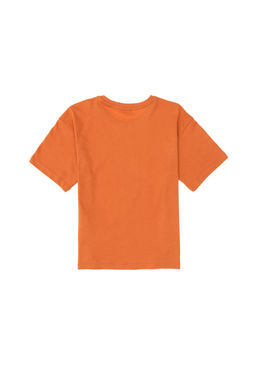 Базовая футболка с корицей для мальчиков Неожиданная скидка в корзине - U.s. polo assn фото 2