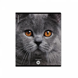 Цена за 5 шт. Тетрадь общая ученическая ErichKrause Cats, 96 листов, клетка, матовая ламинация_MIX-PACK фото 4